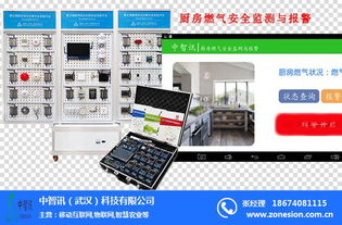 中智訊武漢科技 以多網融合驅動物聯網技術研發新未來